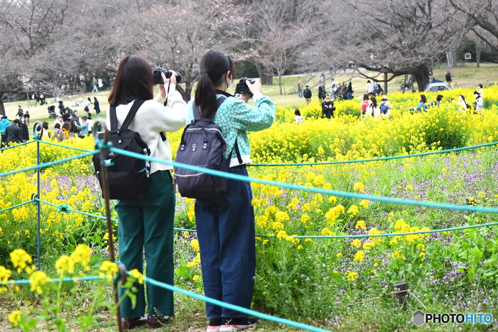 昭和記念公園②