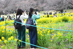 昭和記念公園②