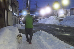 ワンちゃんは 素足で冷たくないの？