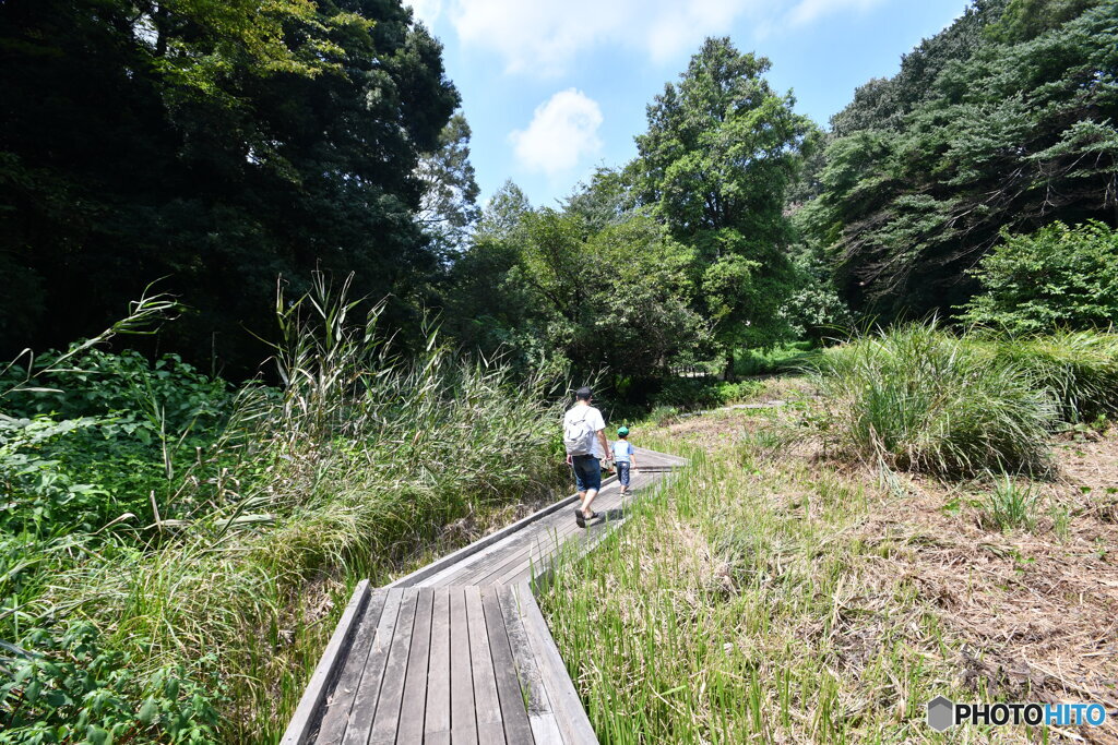 忠生公園②