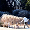 公園でお散歩
