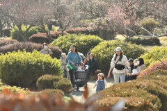 みんなでお花見