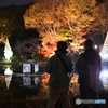 二人で見るライトアップ