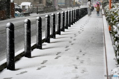 雪景色の歩道