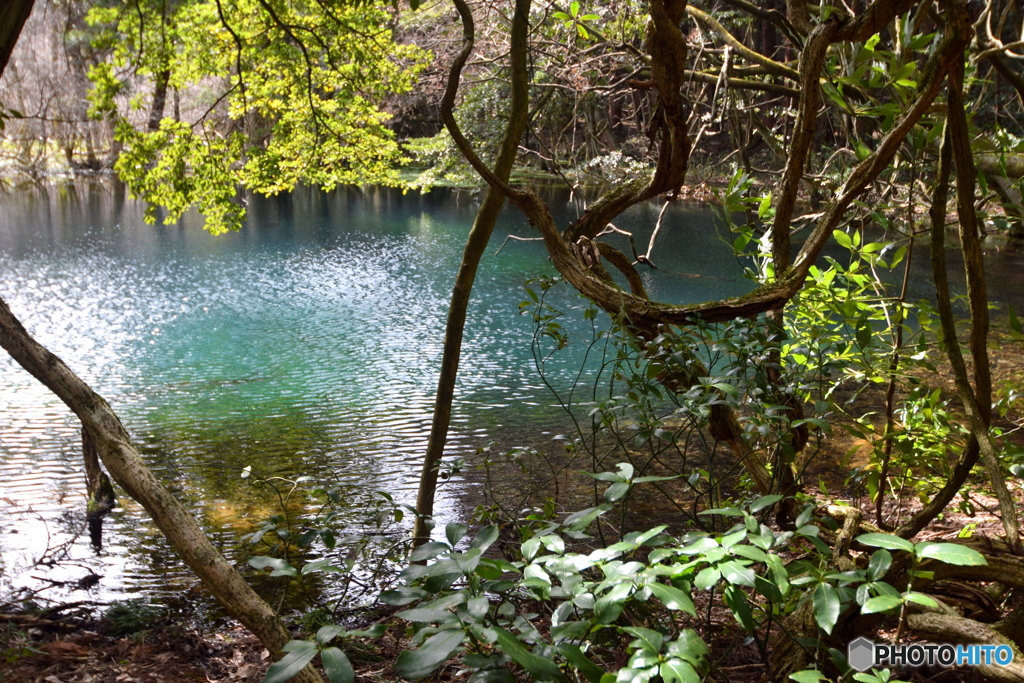 ふるさとの風景・丸池様