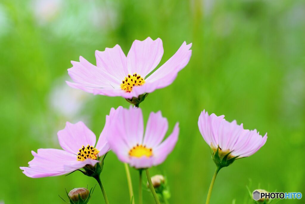 みんな ガンバレ！