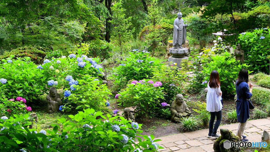 川崎・浄慶寺④