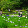 今日の薬師池公園
