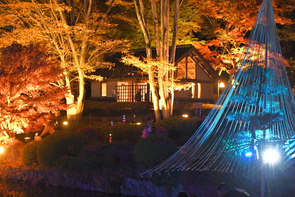 薬師池公園のライトアップ