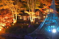 薬師池公園のライトアップ