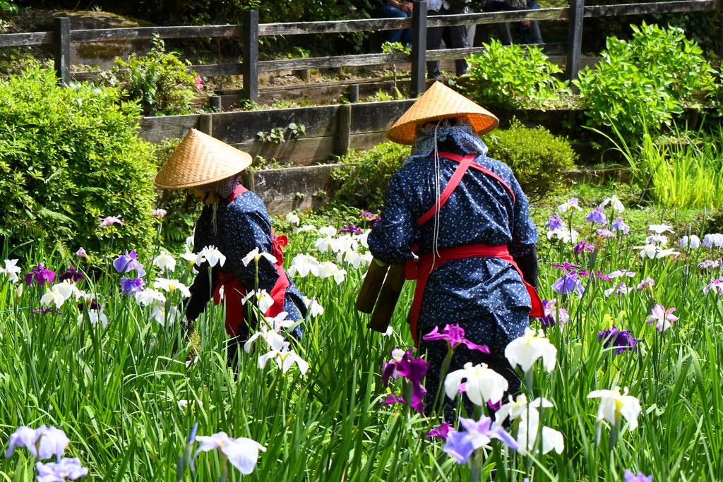 今日の薬師池公園