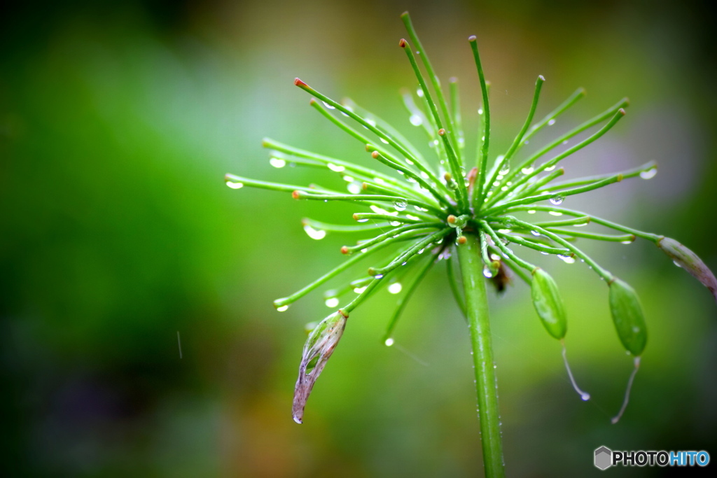 やばつい（山形の方言）＾＾