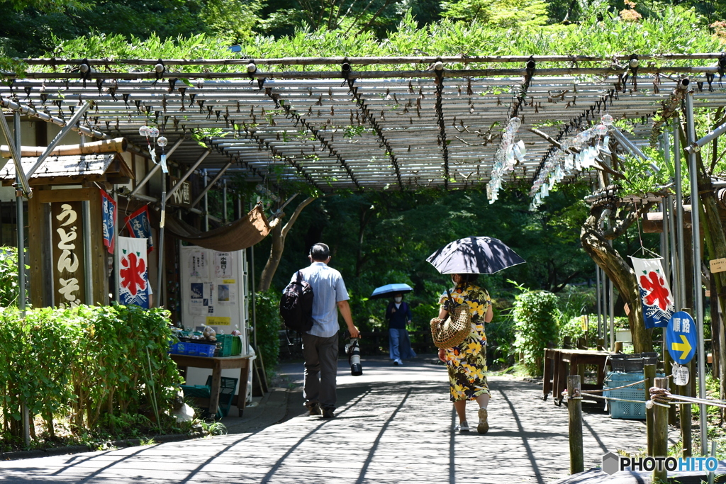 薬師池公園の売店