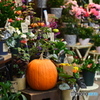秋のお花屋さん