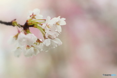 もう少し楽しませてね