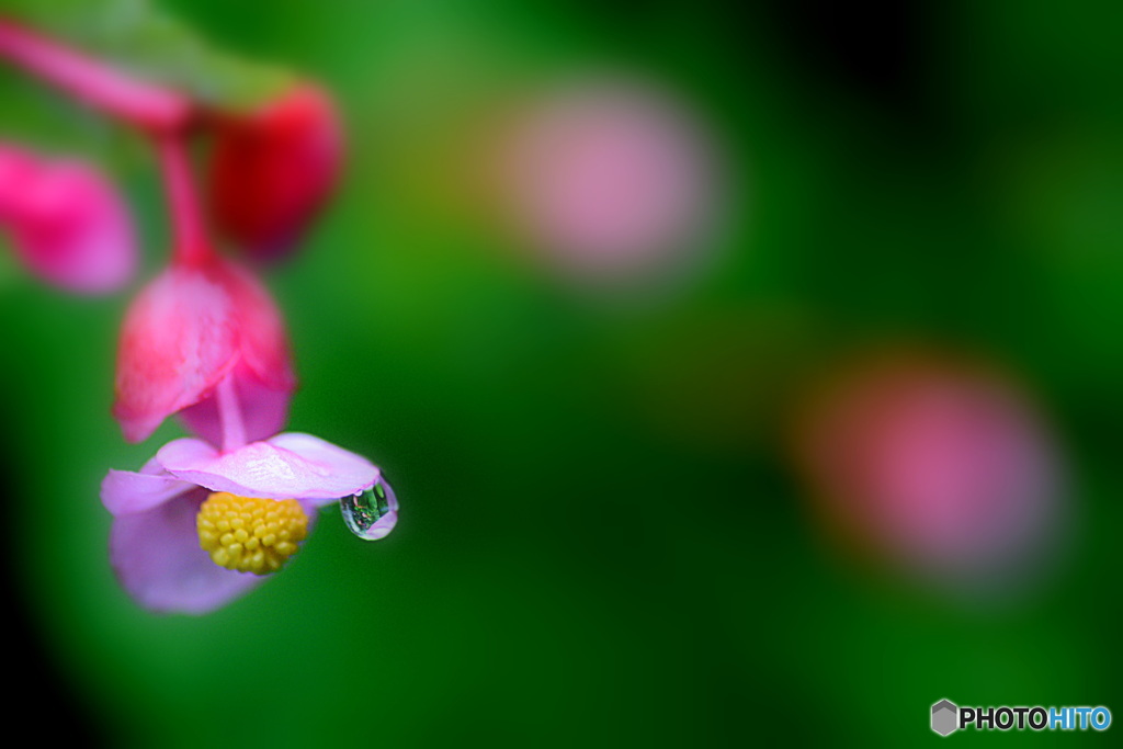 雨の朝
