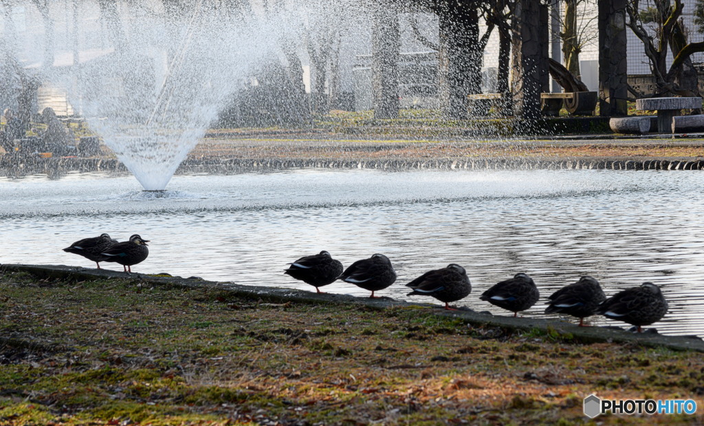 朝礼の時間です