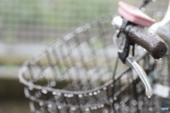 雨に濡れた 私の自転車