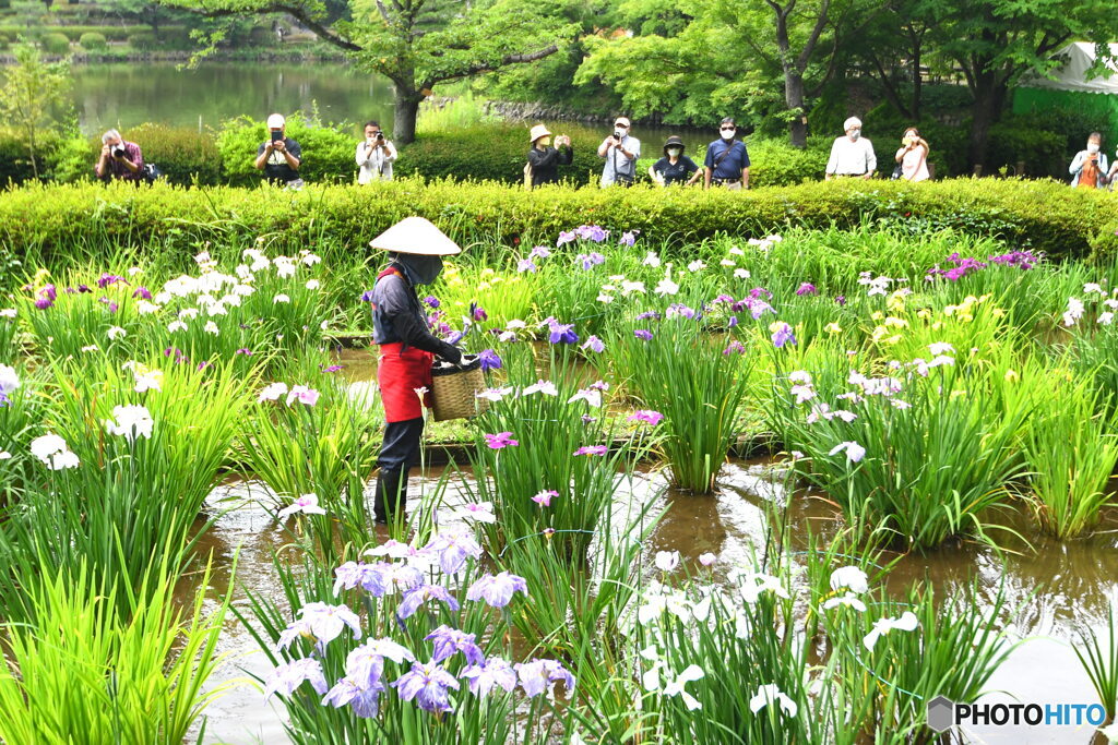 今日の薬師池公園