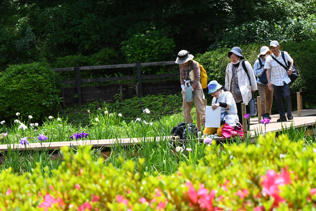 今日の薬師池公園