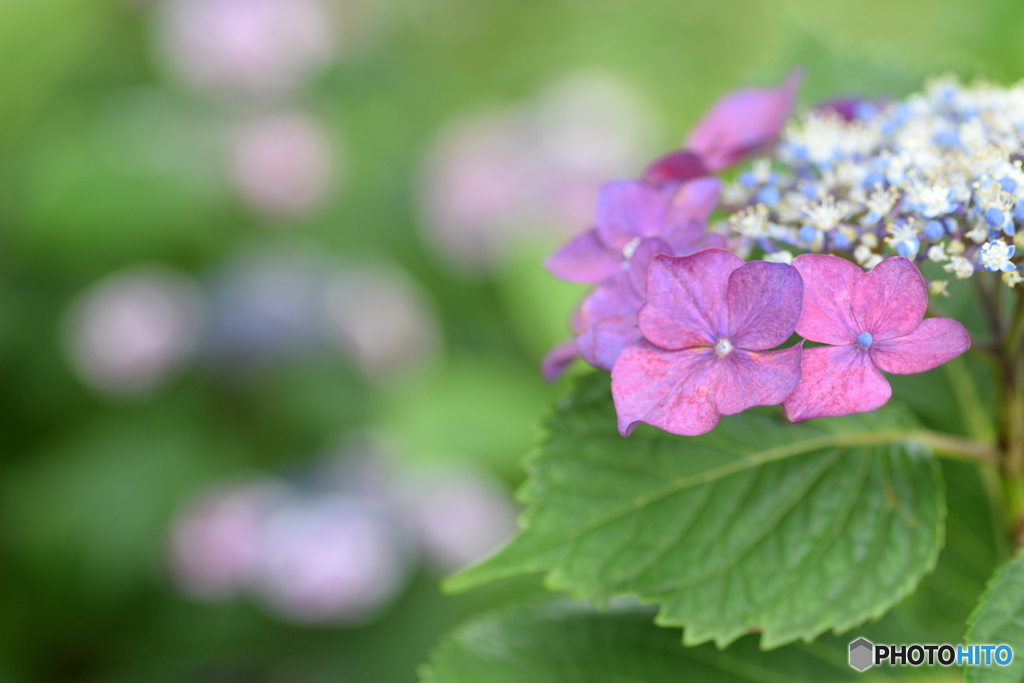 たくさん楽しませてくれてありがとう