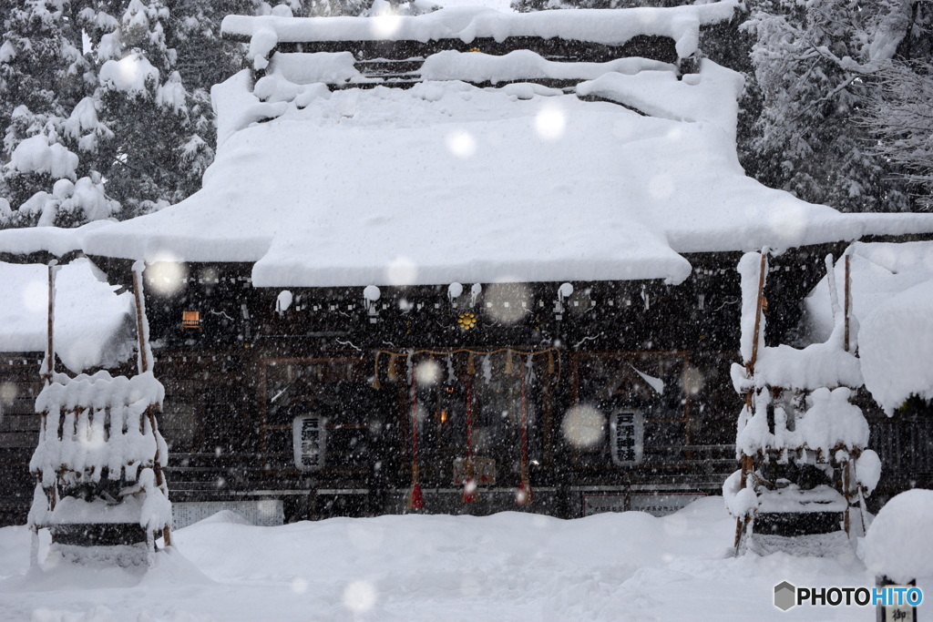 今日は大雪です＾＾