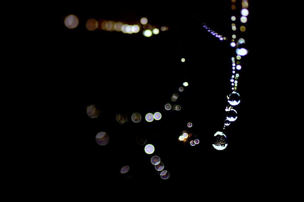 今日のアクセサリー