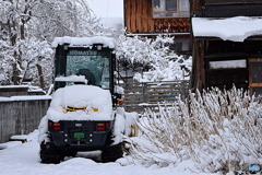 雪が降りました