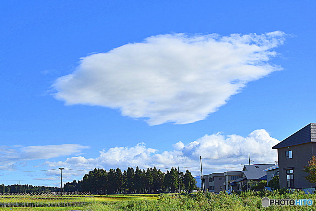 空を泳いでいる 大きなお魚さん