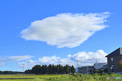 空を泳いでいる 大きなお魚さん