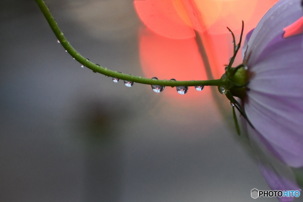 雨の日の夕方