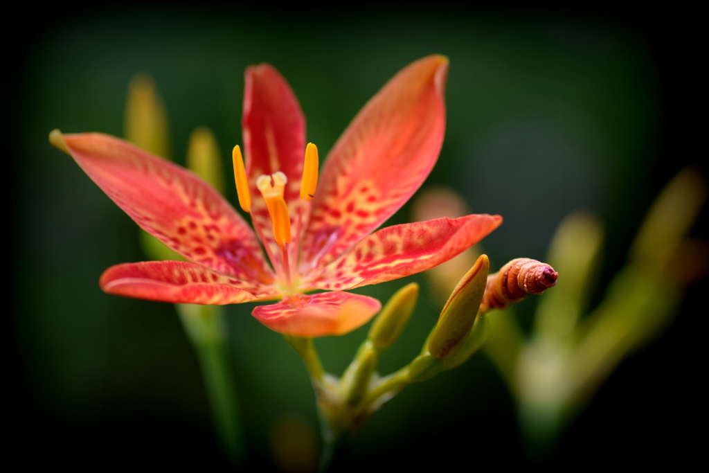 一緒に踊りましょう ②