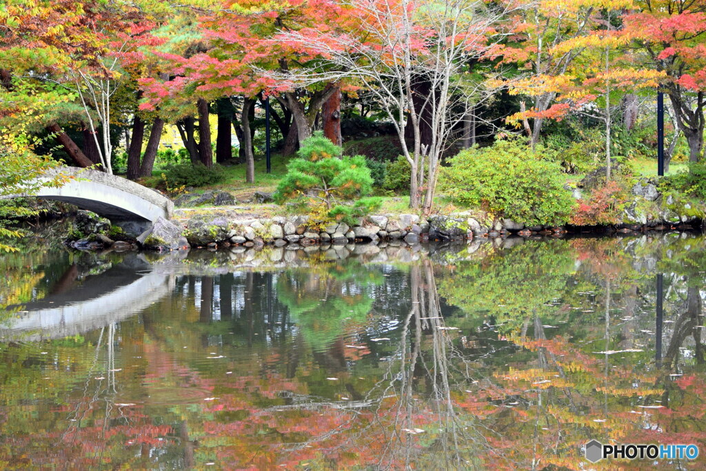 心字池の紅葉