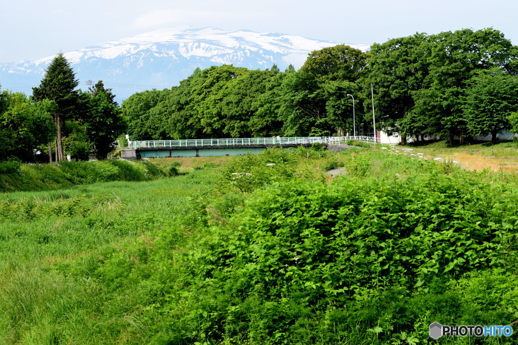 新緑と月山