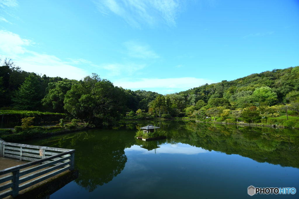 今朝の薬師池公園