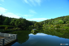 今朝の薬師池公園