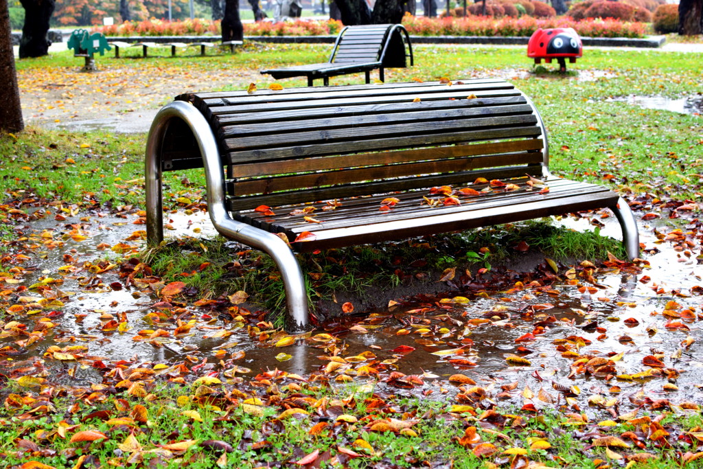 雨の日の公園