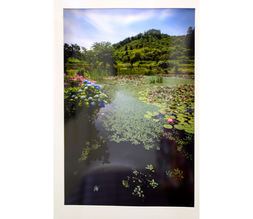 写真展を見てきました