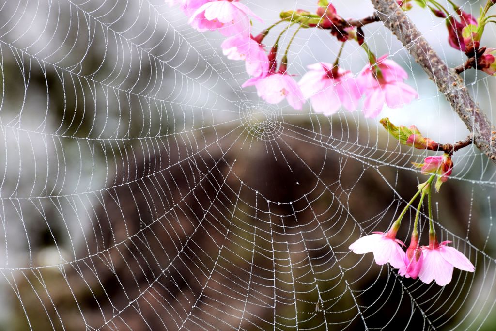 上手なレース編み