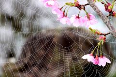 上手なレース編み