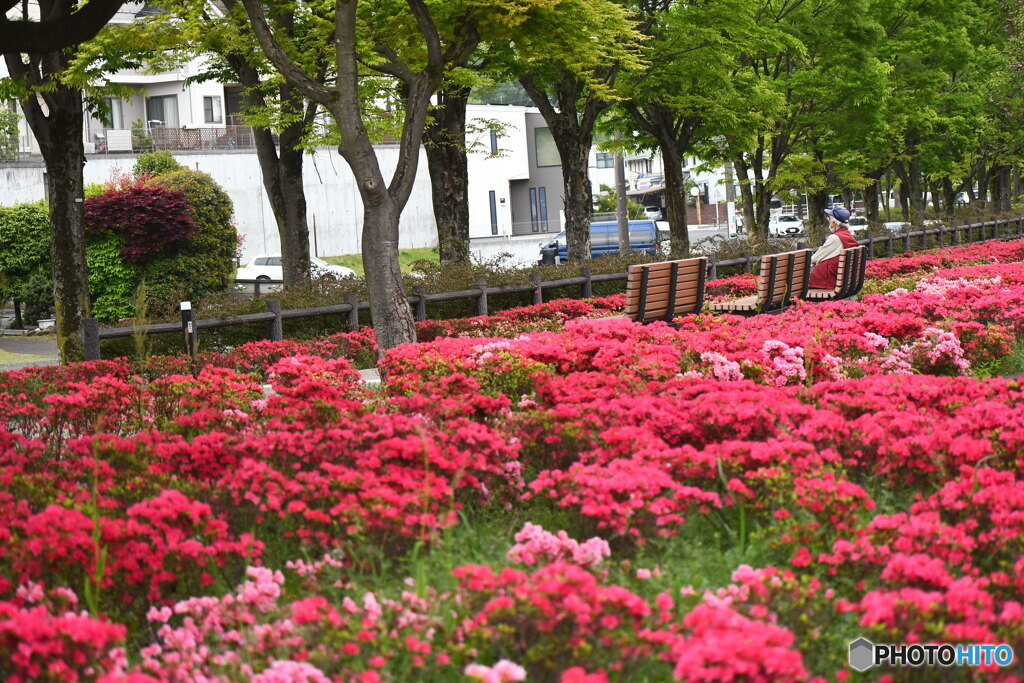 公園で休憩する人