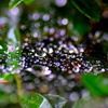 雨の朝