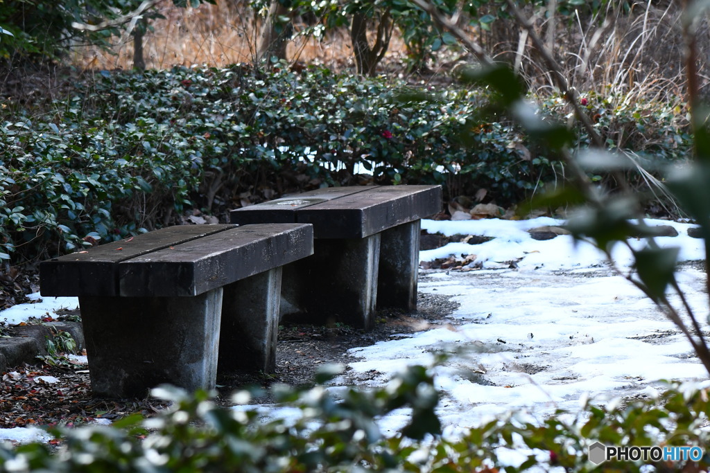 公園のベンチ