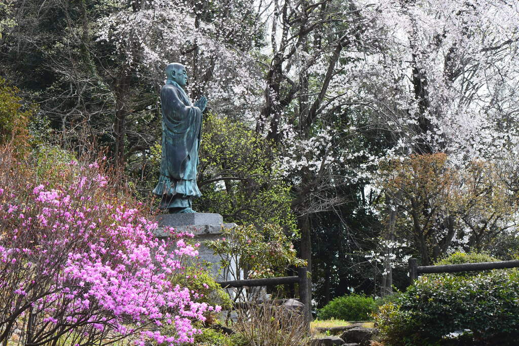 お花に囲まれて