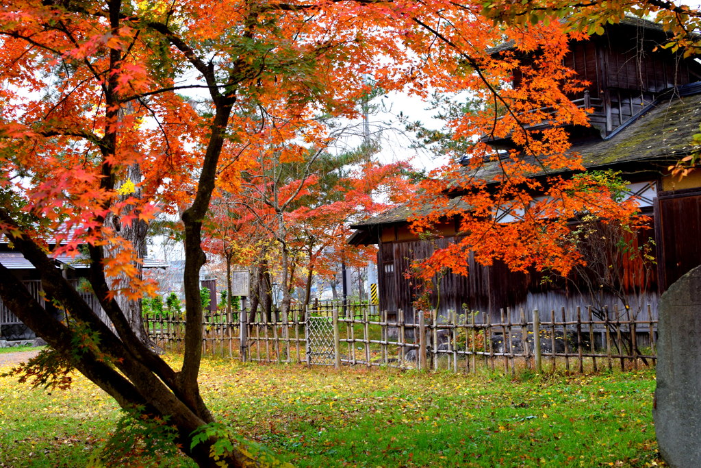 日本の秋（茶室と紅葉）