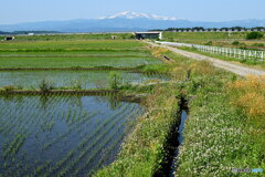 田舎の風景