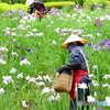 花柄摘み②