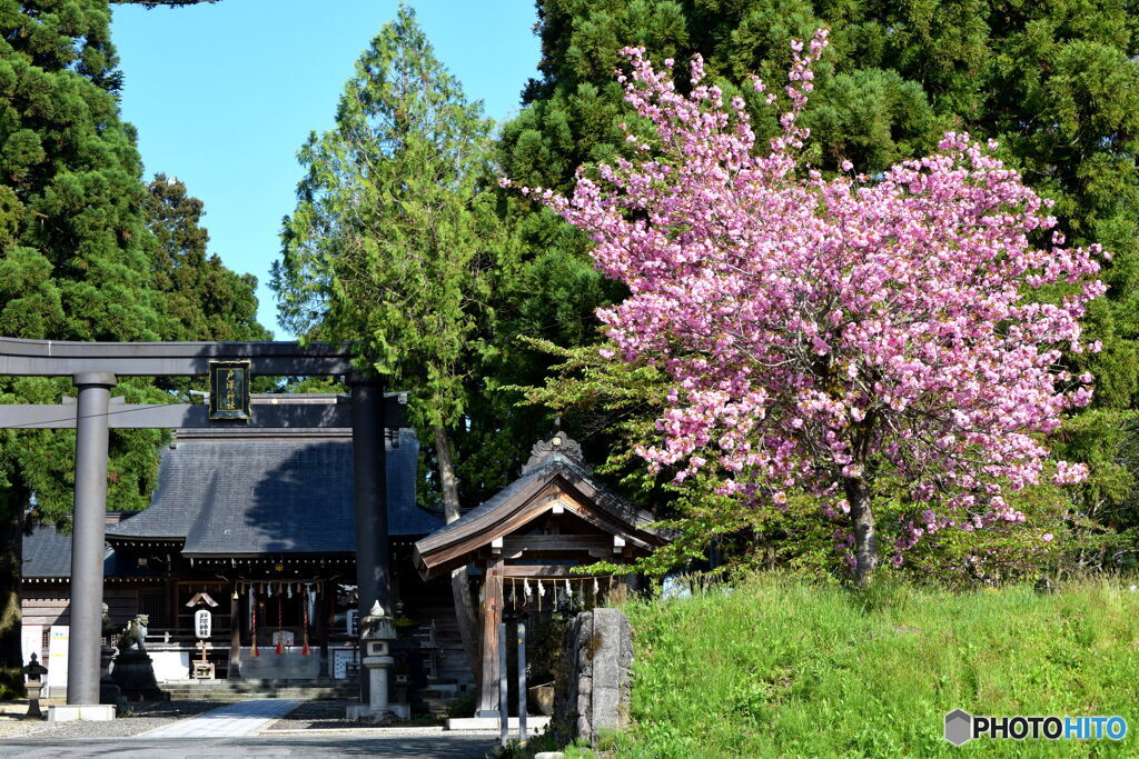 今朝の戸澤神社