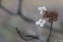 私たち、まだまだ頑張れます