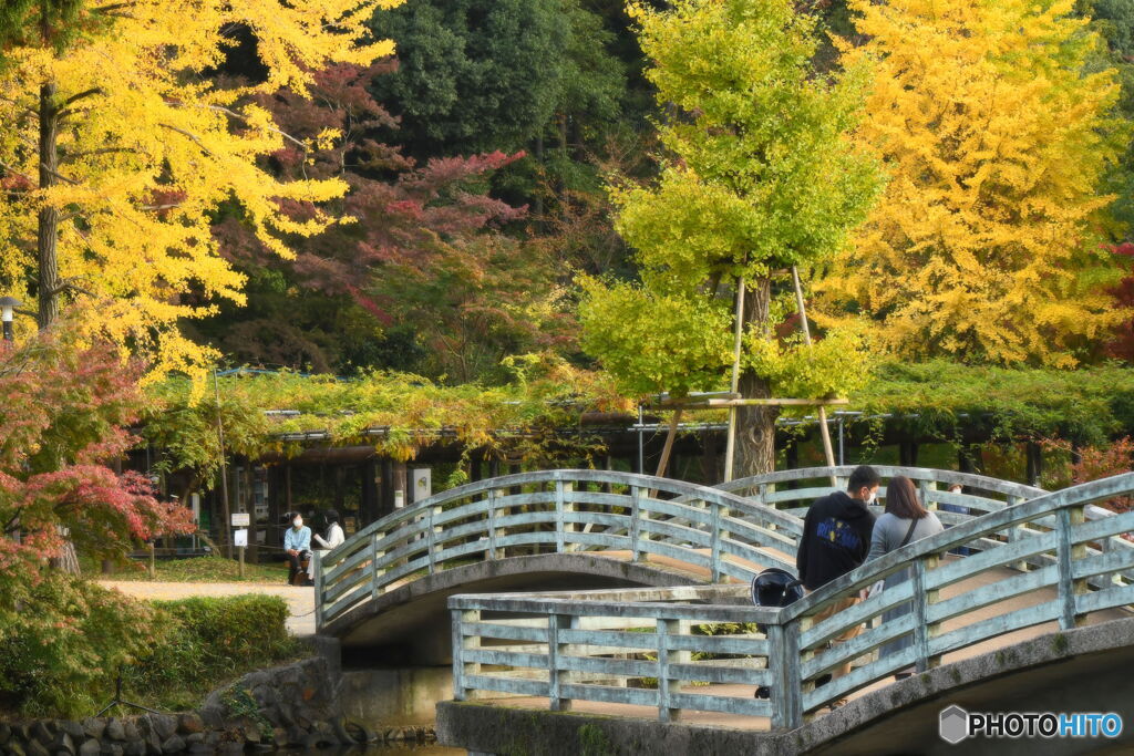 綺麗になってきました